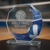 Hopper Volleyball Glass Award