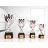 Ferdinand Silver Cup Trophy