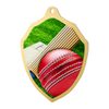 Molten Stainless Steel Cricket Medal