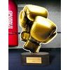 Altus Classic Boxing Trophy