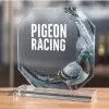 Hutton Pigeon Glass Award