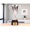 Ferdinand Silver Cup Trophy