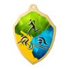 Molten Stainless Steel Triathlon Medal