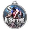 Wrestling Color Texture 3D Print Silver Medal