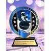 Sentinel Stainless Steel Ice Hockey Trophy