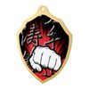 Molten Stainless Steel Martial Arts Medal