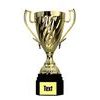 Ferdinand Gold Cup Trophy