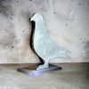 Cannes Printed Acrylic Pigeon Trophy