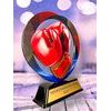 Onyx Stainless Steel Boxing Trophy