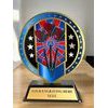 Sentinel Stainless Steel Darts Trophy