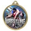 Wrestling Color Texture 3D Print Gold Medal