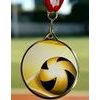 Barnet Volleyball Classic Texture 3D Print MaxMedal