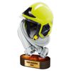 Altus Color Firefighter Trophy