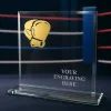 Titanium Glass and Metal Fusion Boxing Trophy