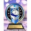 Sentinel Stainless Steel Swimming Trophy