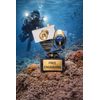 Underwater Photography Handmade Metal Trophy