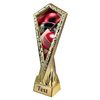 Apex Cricket Trophy