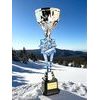 Provo Ski Jumping Silver Trophy