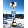 Provo Speed Skating Silver Trophy