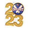 Cricket 2023 Acrylic Medal