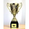 Ferdinand Gold Cup Trophy
