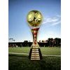 Eminent Gold and Red Soccer Trophy