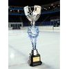 Provo Ice Skating Silver Trophy