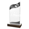 United Acrylic Wood Classic Boxing Trophy