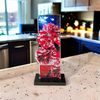 Apla Cheerleader Trophy