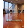Piute Star Crystal Award