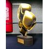 Altus Classic Boxing Trophy