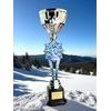 Provo Cross-Country Skiing Silver Trophy