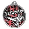 Taekwondo Color Texture 3D Print Silver Medal