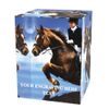 Nolan Horse Riding Glass Award