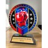 Sentinel Stainless Steel Boxing Arts Trophy
