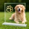 Titanium Glass and Metal Fusion Dog Paw Trophy