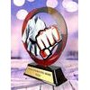Onyx Stainless Steel Martial Arts Trophy