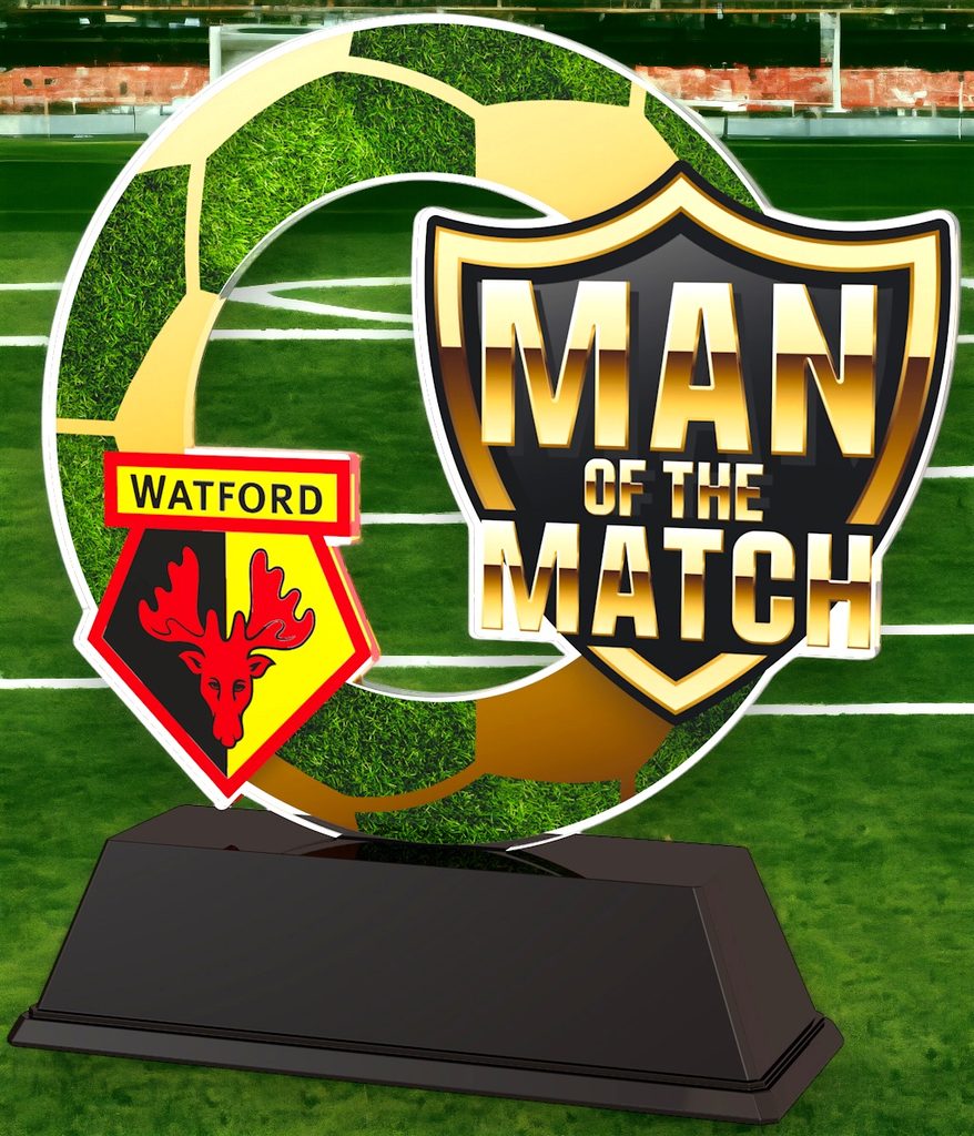 Soccer Custom Man of the Match Trophy Trophy Monster ⭐ USA