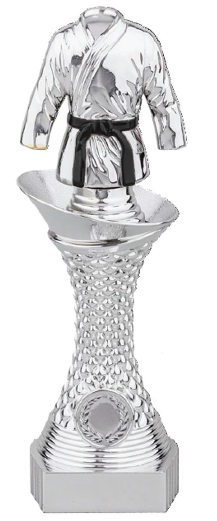 Silver Karate Trophy | Trophy Monster ⭐ USA