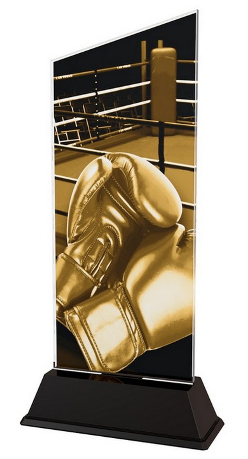 Boxing Abstract Trophy Danbury Boxing Acrylic Trophy | Trophy Monster ⭐ USA