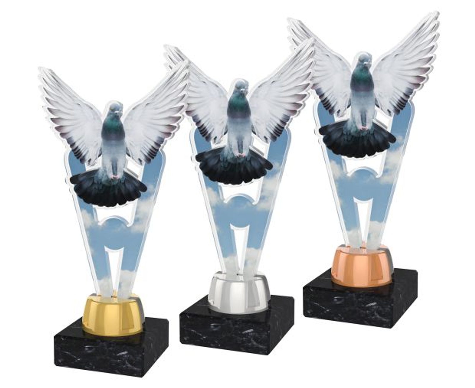 Pigeon Trophy Award – Fun Unique Prize For Sports, School Events & Competitions (38cm Plastic Trophy)