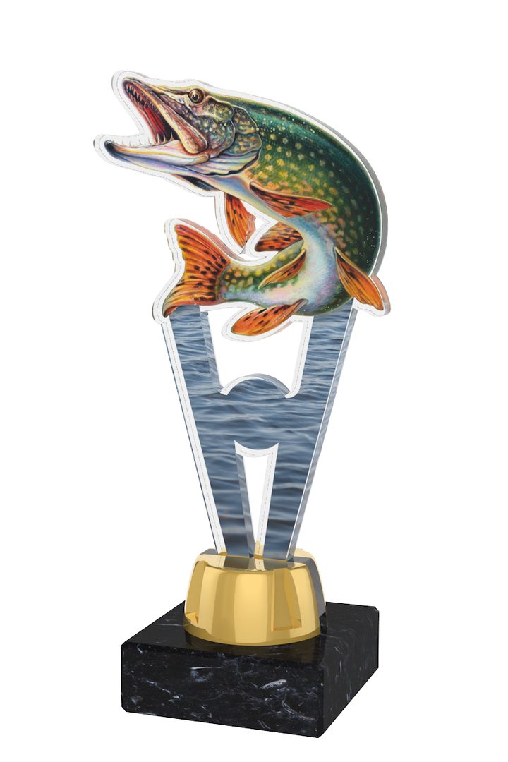 Fishing Trophy Award Funny Trophy Biggest Trout Tournament Derby Trophy  HAND PAINTED Salmon 1 Master Baiter Award Trophy Gag Gift Award 