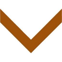 Bronze Ribbon