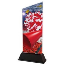 Danbury Cheerleaders Acrylic Trophy