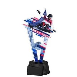 Kaplan Snowboard Trophy
