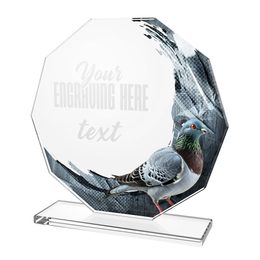 Hopper Pigeon Glass Award