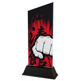 Danbury Martial Arts Acrylic Trophy