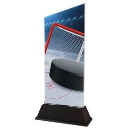 Danbury Ice Hockey Acrylic Trophy