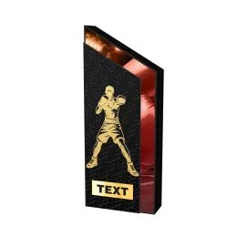 ATAMI Modern Metal & Wood Martial Arts Trophy