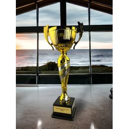 Denver Gold and Silver Cup on a Black PVC Base